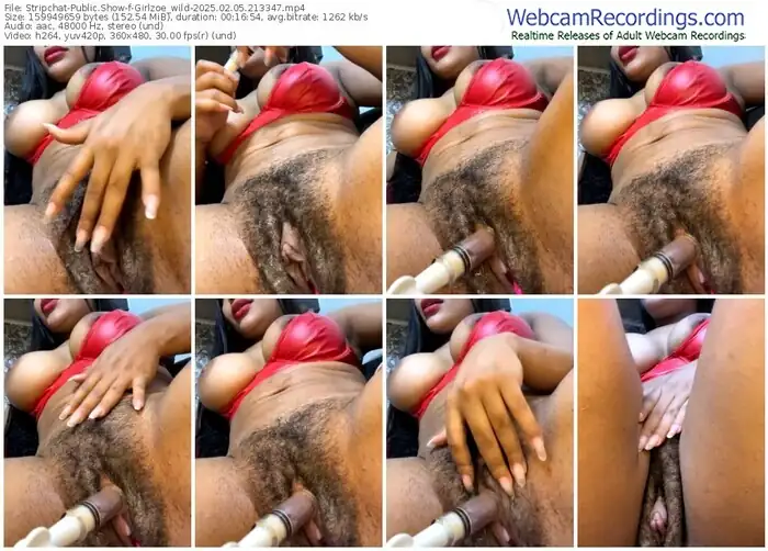 stripchat-girlzoe_wild-02-05-2025-21-33-47