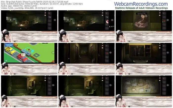 stripchat-luckyto666-02-05-2025-17-20-28