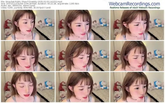 stripchat-onekitty-02-05-2025-14-22-52