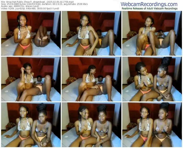 stripchat-_dreamboat_-02-05-2025-01-17-59