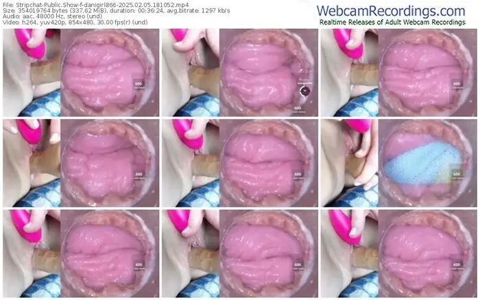 stripchat-danigirl866-02-05-2025-18-10-52