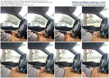 stripchat-themechanic420-02-05-2025-13-23-51