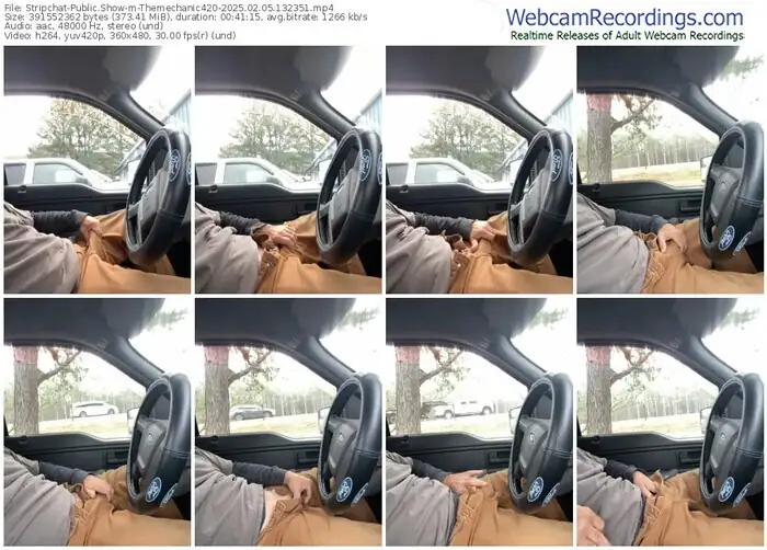 stripchat-themechanic420-02-05-2025-13-23-51