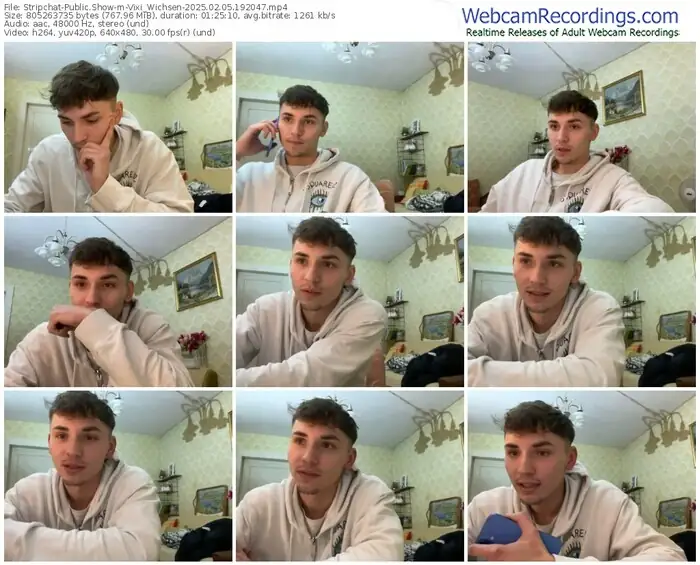 stripchat-vixi_wichsen-02-05-2025-19-20-47