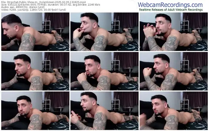 stripchat-_dylangreen-02-05-2025-13-18-25