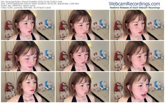 stripchat-onekitty-02-06-2025-15-34-11