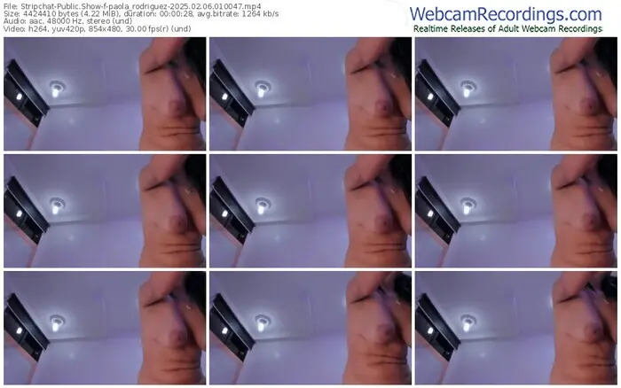 stripchat-paola_rodriguez-02-06-2025-01-00-47