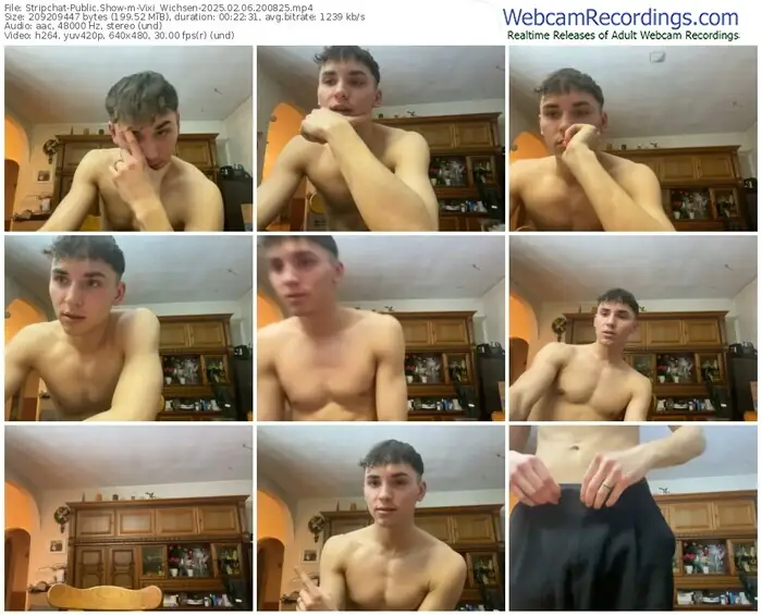 stripchat-vixi_wichsen-02-06-2025-20-08-25