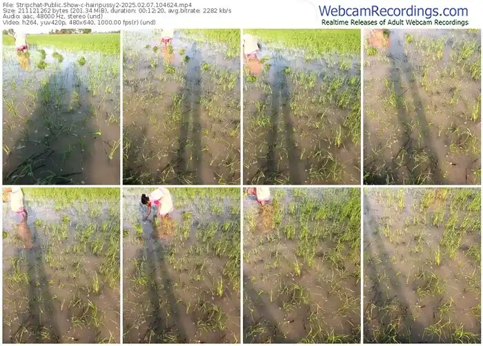 stripchat-hairipussy2-02-07-2025-10-46-24