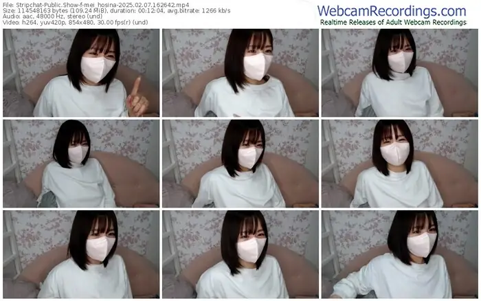 stripchat-mei_hosina-02-07-2025-16-26-42