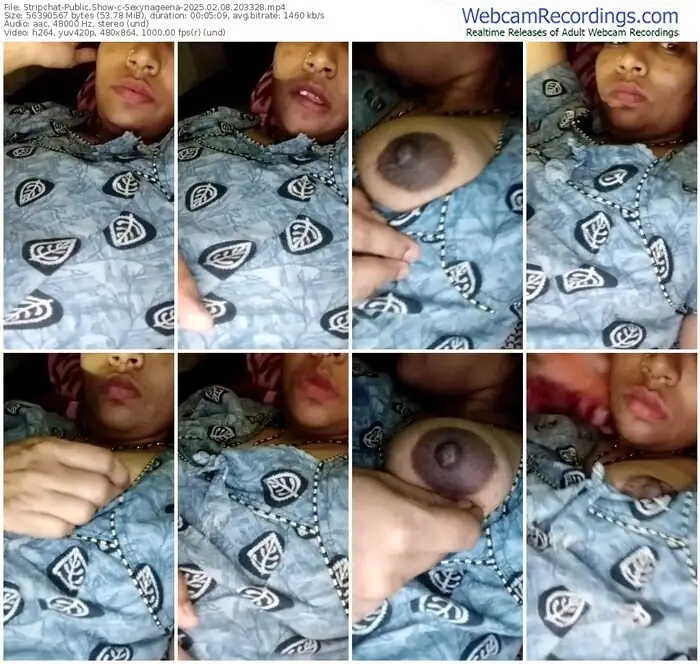 stripchat-sexynageena-02-08-2025-20-33-28