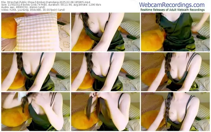 stripchat-embez-damdang-02-08-2025-18-58-05