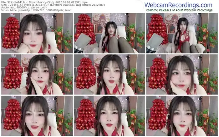 stripchat-nancy-cindy-02-08-2025-01-23-41