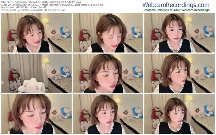 stripchat-onekitty-02-08-2025-13-42-42