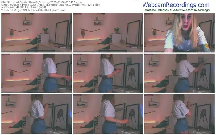 stripchat-_bruksa_-02-08-2025-01-04-10