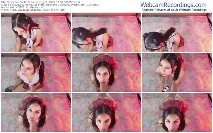 stripchat-vivi_gh1-02-08-2025-06-10-50