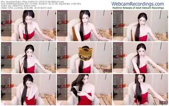 stripchat-wife170--02-08-2025-08-45-19