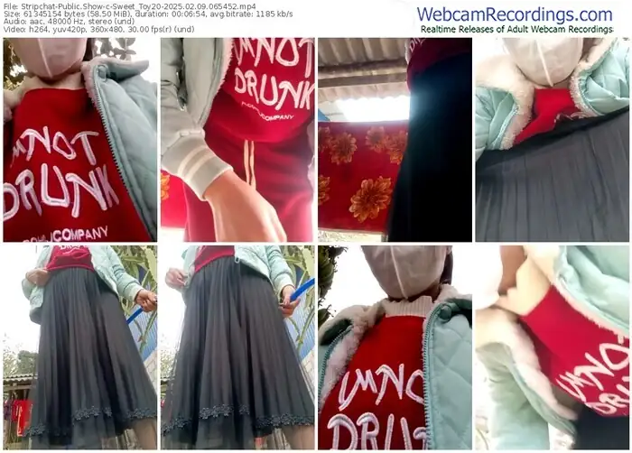 stripchat-sweet_toy20-02-09-2025-06-54-52