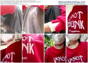 stripchat-sweet_toy20-02-09-2025-08-36-03