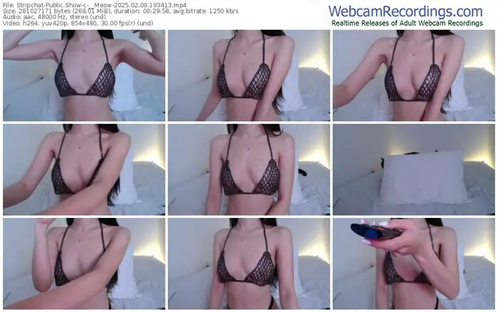 stripchat-__meow-02-09-2025-19-34-13