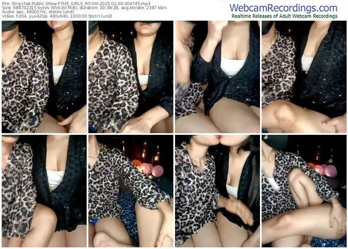 stripchat-the_girls_room-02-09-2025-00-47-45