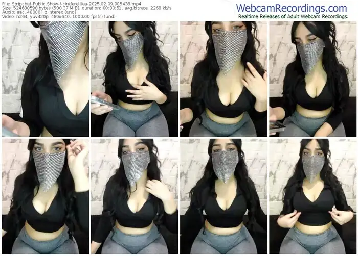 stripchat-cinderelllaa-02-09-2025-00-54-38