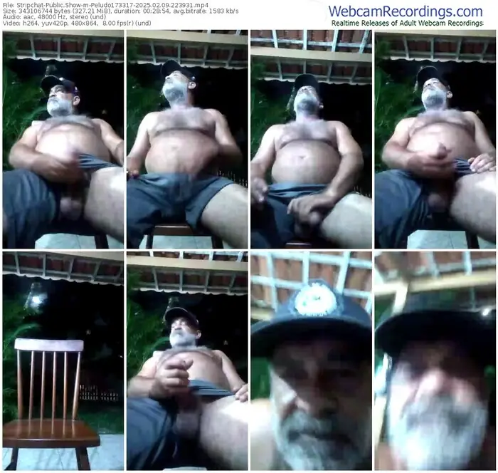 stripchat-peludo173317-02-09-2025-22-39-31