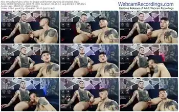 stripchat-snake-and-hunter-02-09-2025-00-18-03