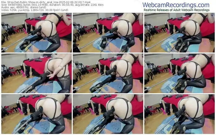 stripchat-dirty_anal_lisa-02-09-2025-21-16-17
