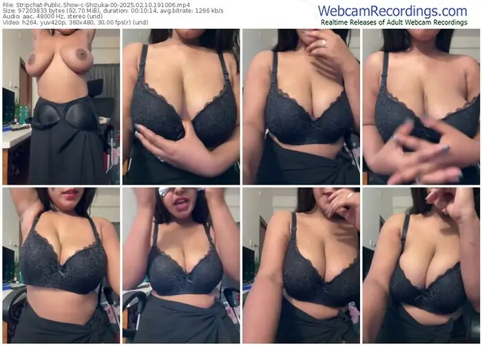 stripchat-shizuka-00-02-10-2025-19-10-06