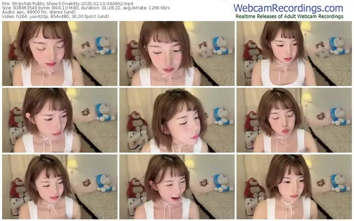 stripchat-onekitty-02-10-2025-04-04-02