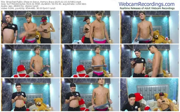 stripchat-sexys_hornys_boys-02-10-2025-01-58-02