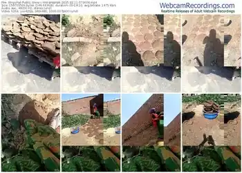 stripchat-indiankanak-02-11-2025-07-36-04