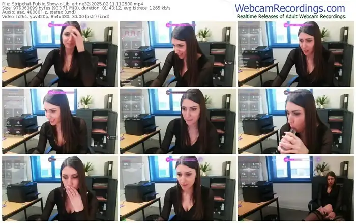 stripchat-lib_ertine32-02-11-2025-11-25-00