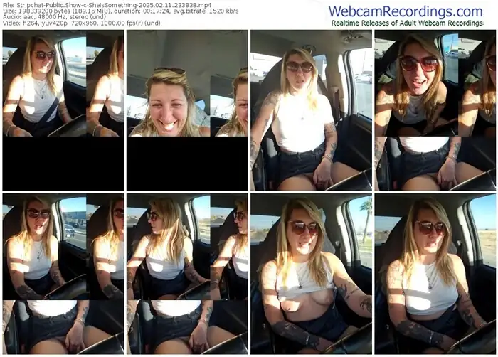 stripchat-sheissomething-02-11-2025-23-38-38