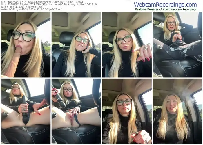 stripchat-harleyejoker1-02-11-2025-10-28-12