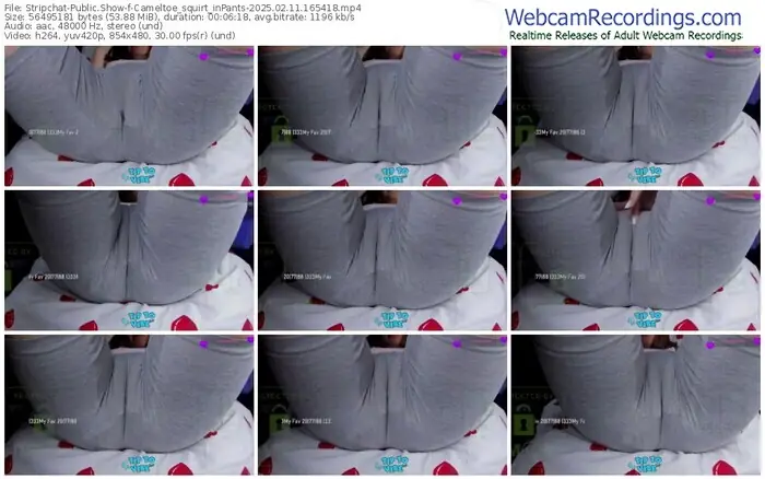 stripchat-cameltoe_squirt_inpants-02-11-2025-16-54-18