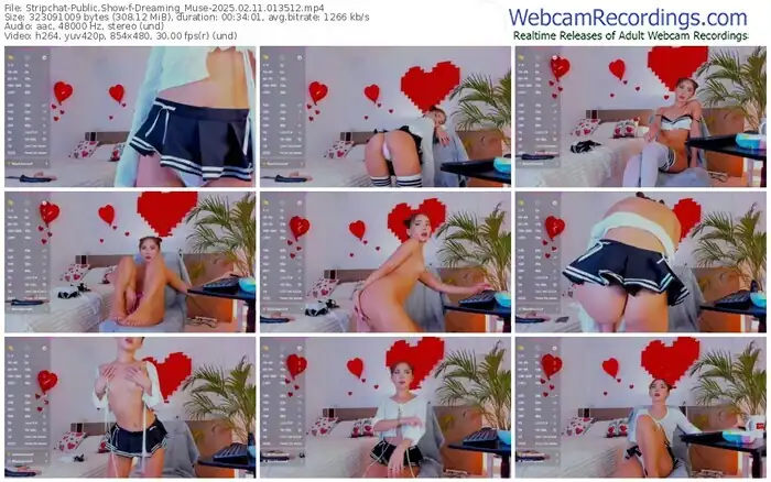 stripchat-dreaming_muse-02-11-2025-01-35-12