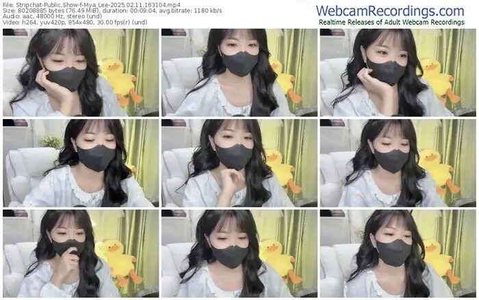stripchat-mya_lee-02-11-2025-16-31-04