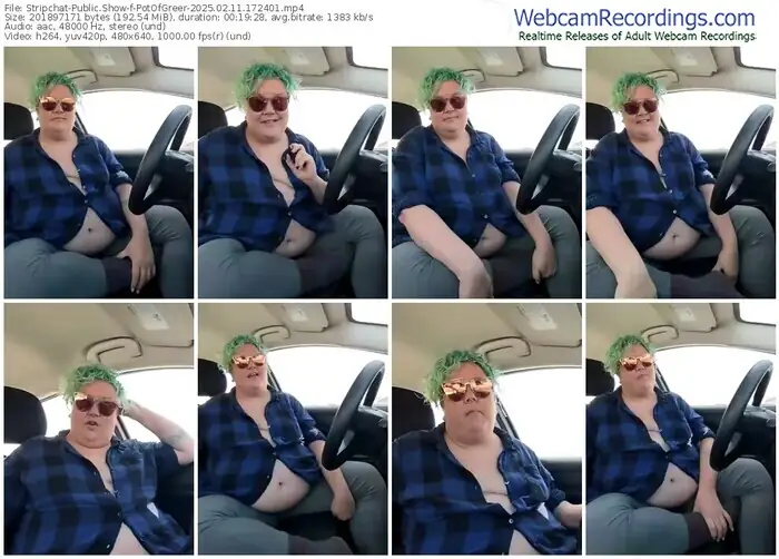 stripchat-potofgreer-02-11-2025-17-24-01