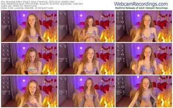 stripchat-_rose_charming_-02-11-2025-23-40-01