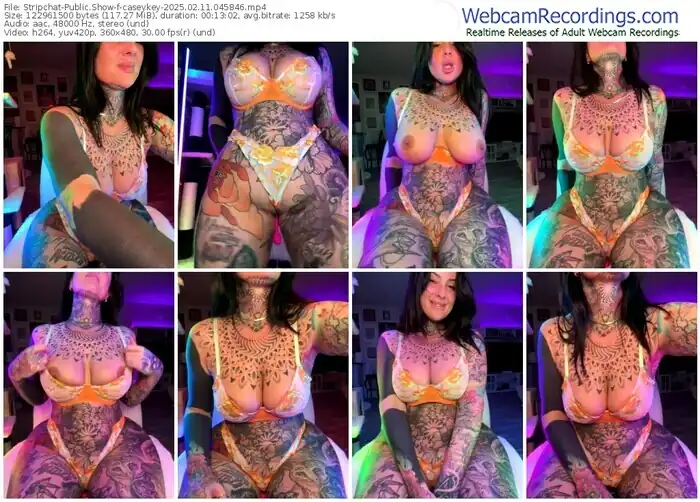 stripchat-caseykey-02-11-2025-04-58-46