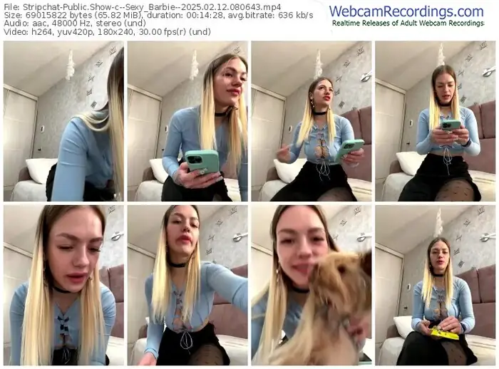 stripchat--sexy_barbie--02-12-2025-08-06-43