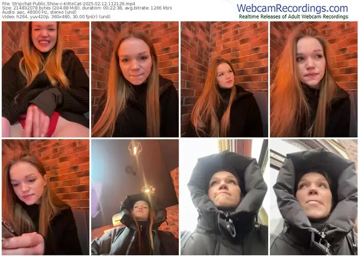 stripchat-kittecat-02-12-2025-11-21-29