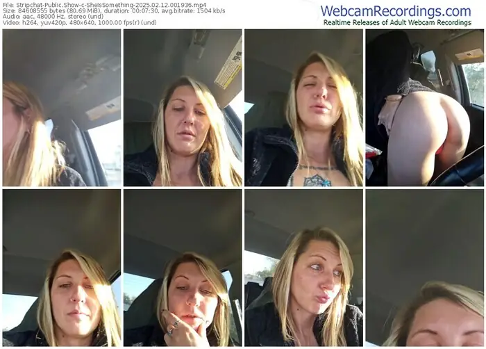 stripchat-sheissomething-02-12-2025-00-19-36