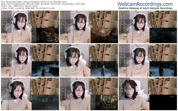 stripchat-ainekoo-02-12-2025-03-37-48