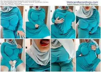 stripchat-amalarabic-02-12-2025-18-44-06