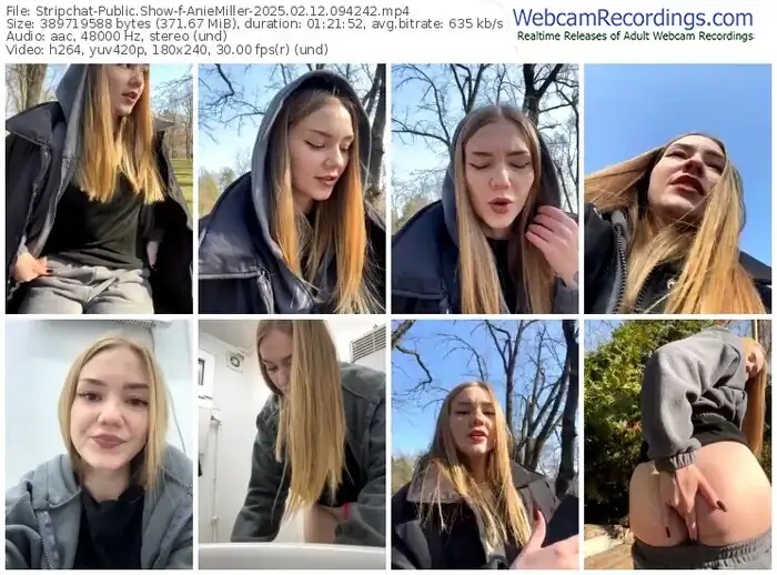 stripchat-aniemiller-02-12-2025-09-42-42