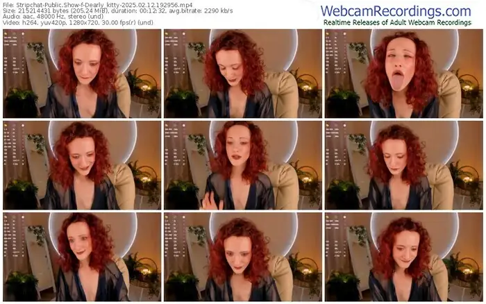 stripchat-dearly_kitty-02-12-2025-19-29-56