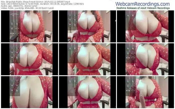 stripchat-hoot-anime--02-12-2025-04-59-07
